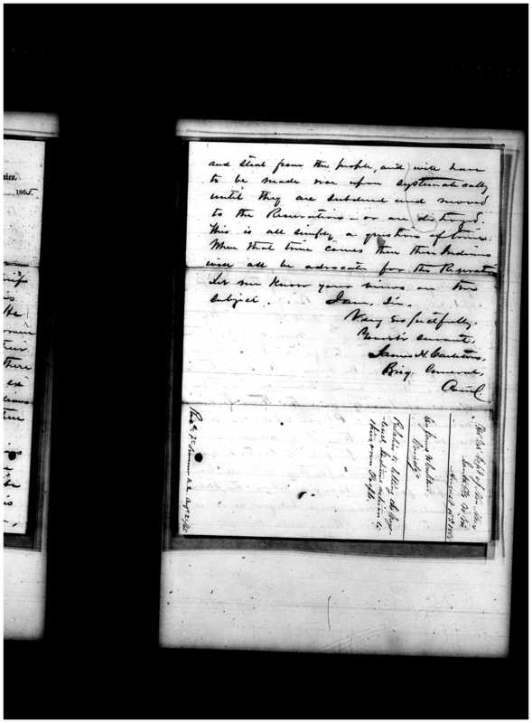 Primary page
