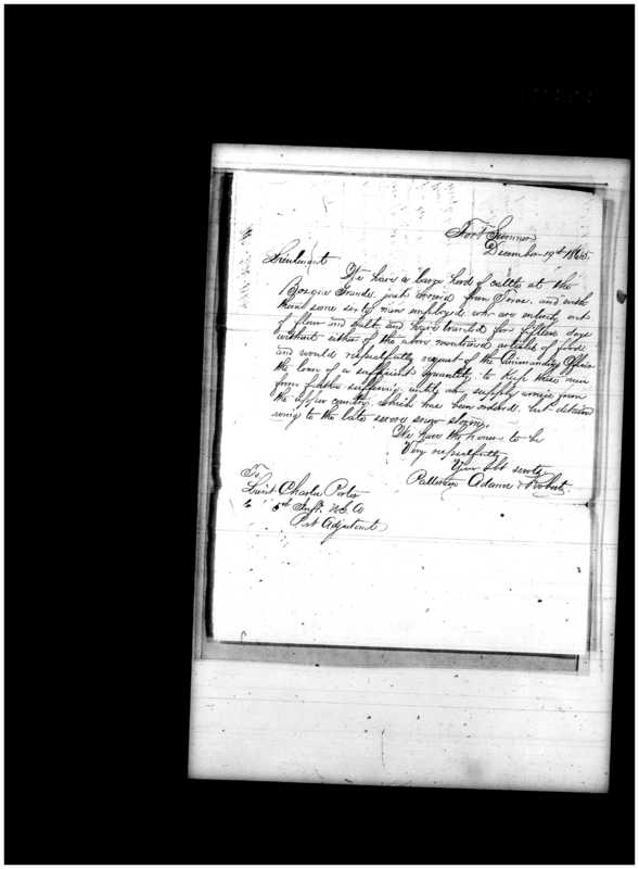 Primary page