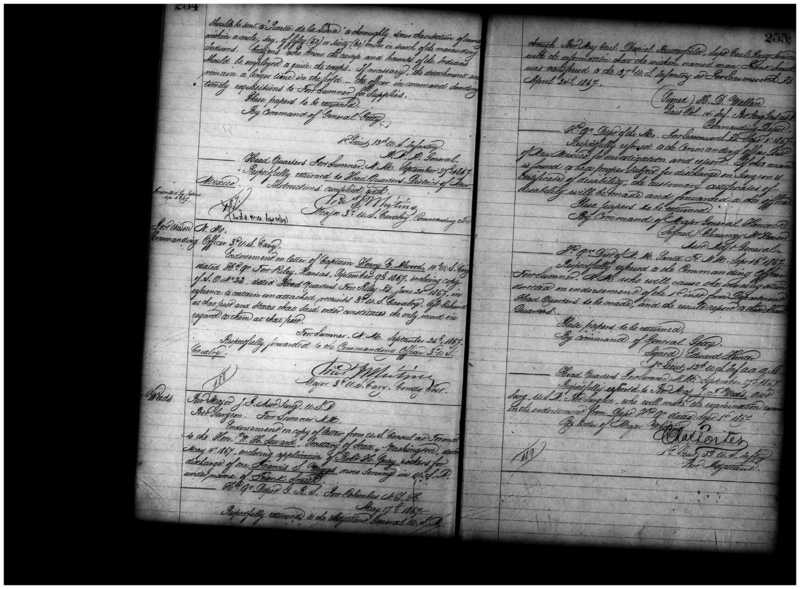 Primary page