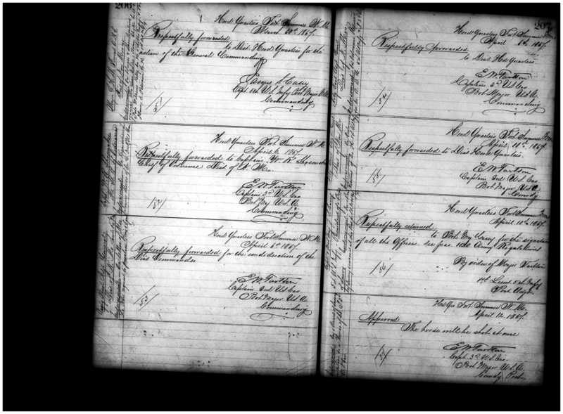 Primary page