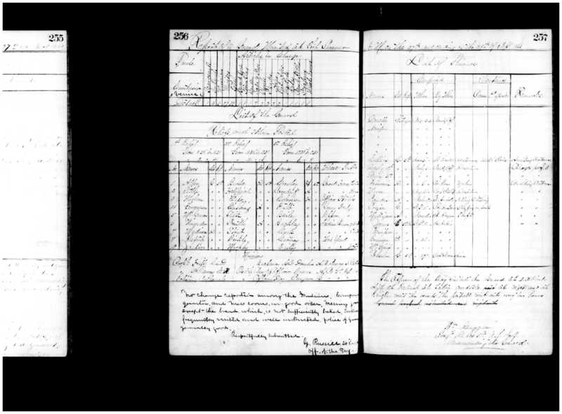 Primary page