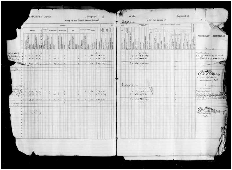 Primary page