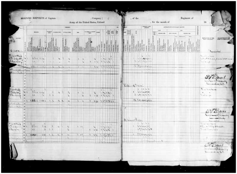 Primary page