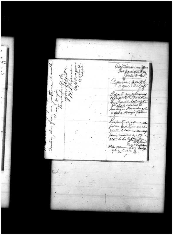 Primary page