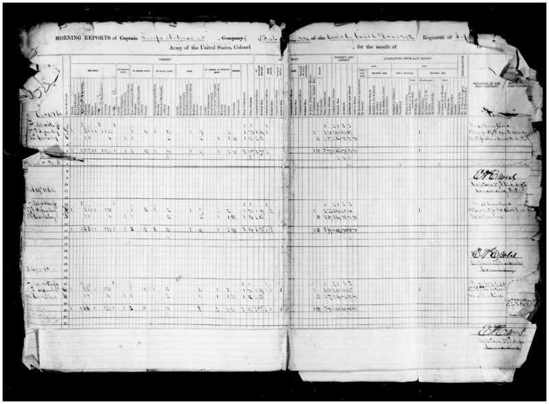 Primary page