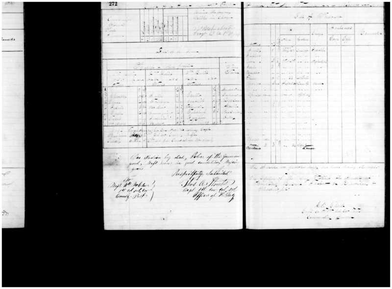 Primary page
