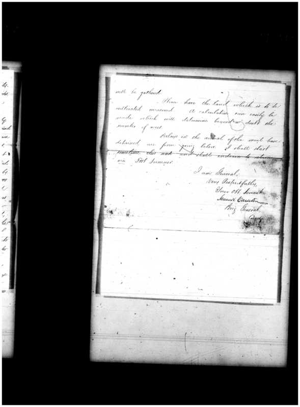 Primary page