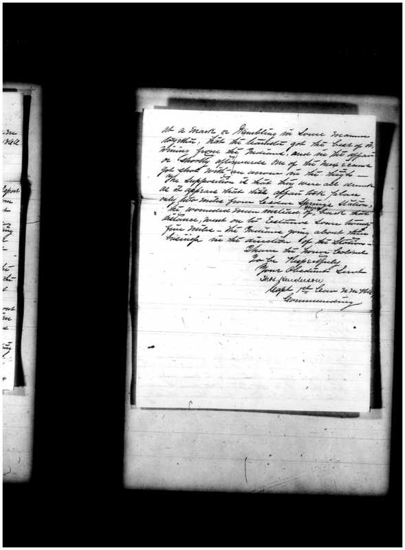 Primary page