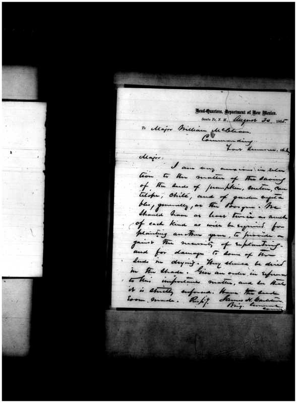Primary page