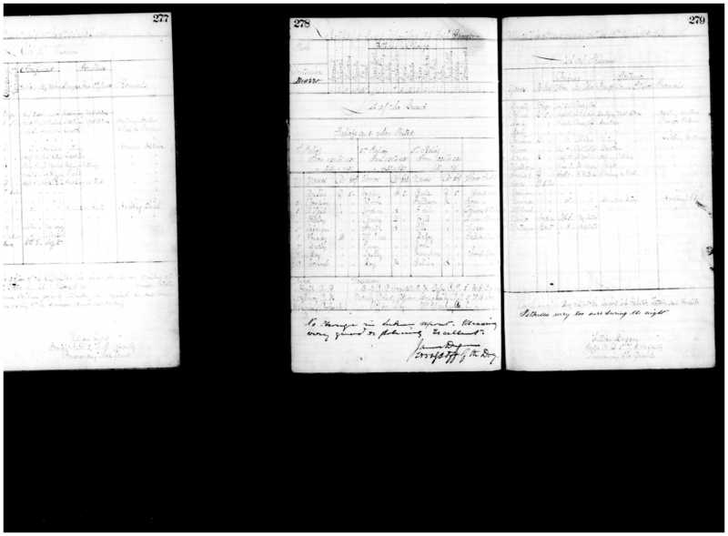 Primary page