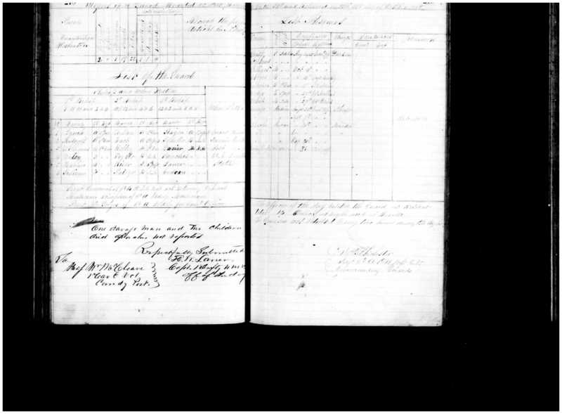 Primary page