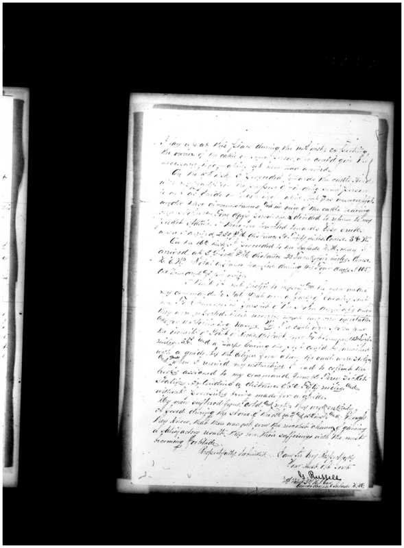 Primary page