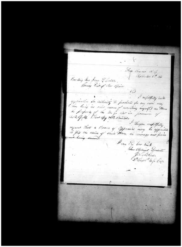 Primary page