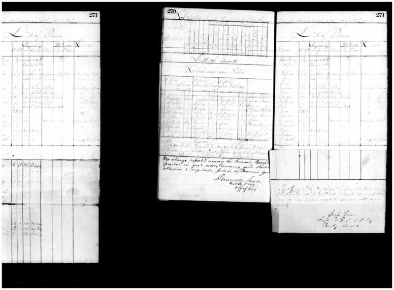 Primary page