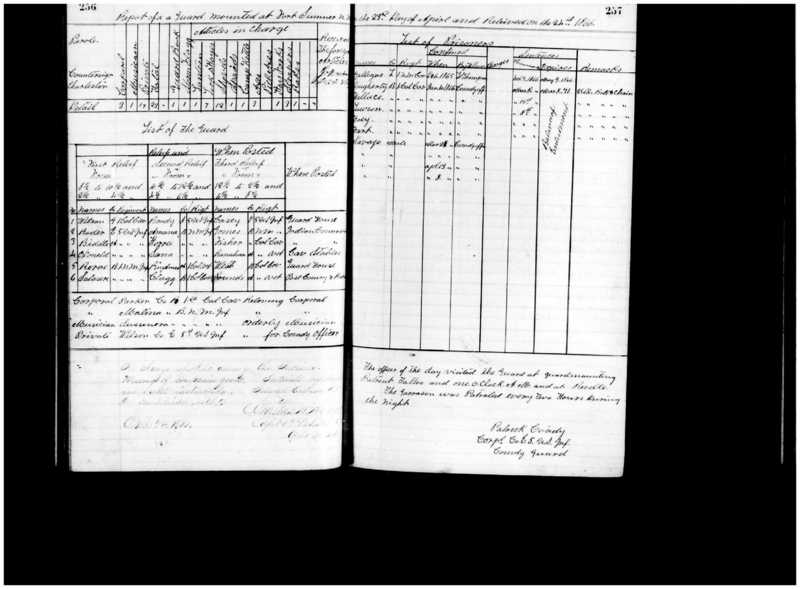 Primary page