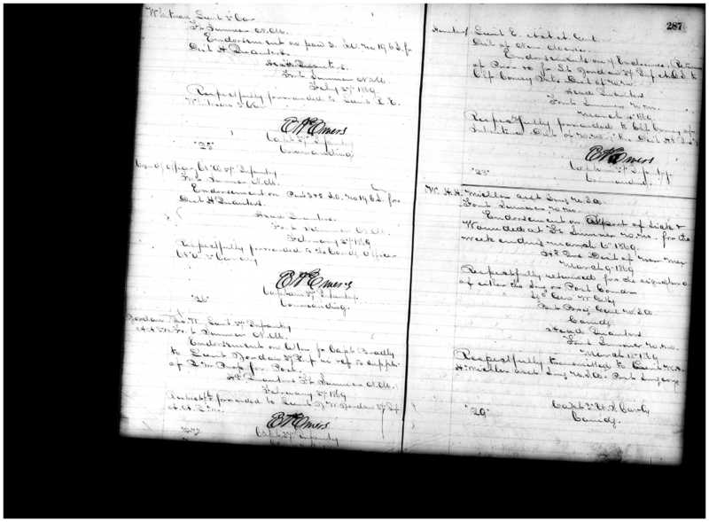 Primary page