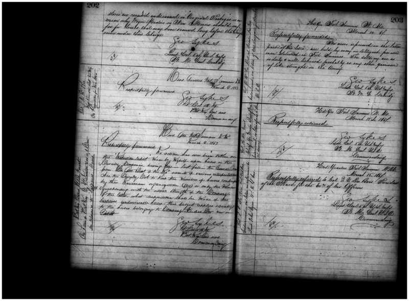 Primary page