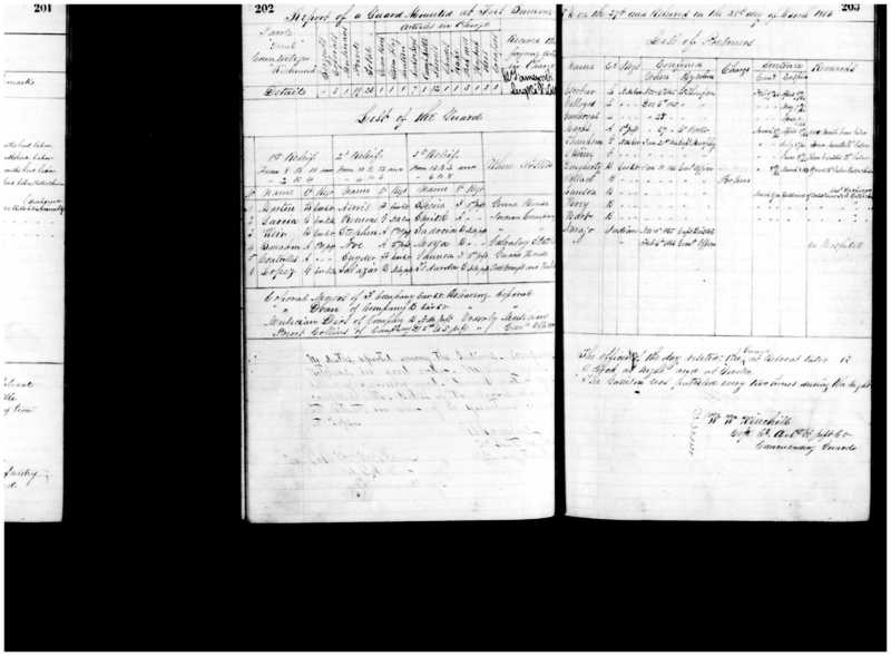 Primary page