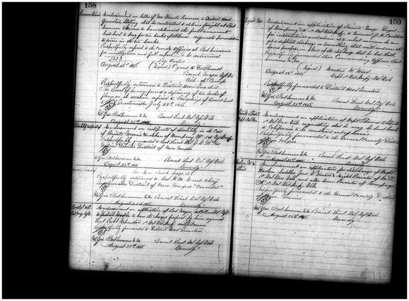 Primary page