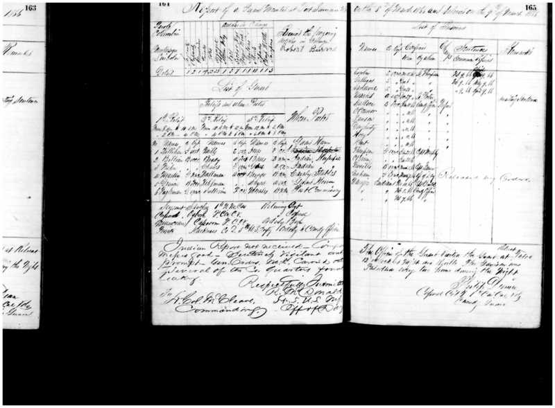 Primary page