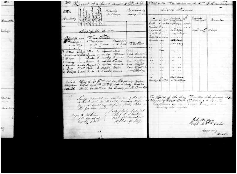 Primary page