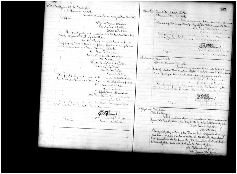 Primary page