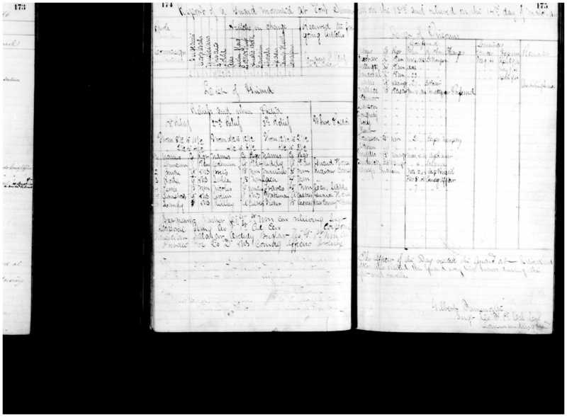 Primary page