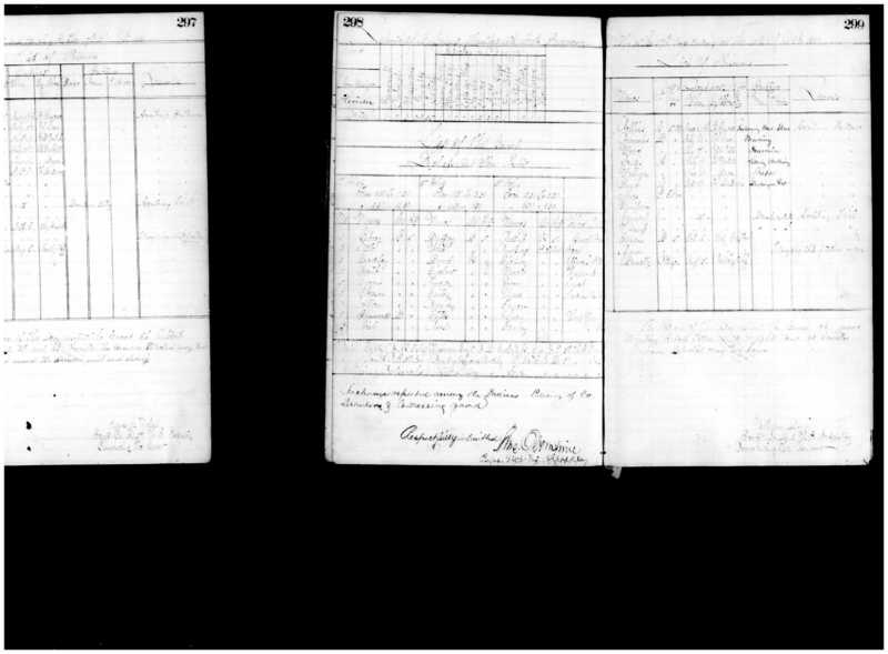 Primary page