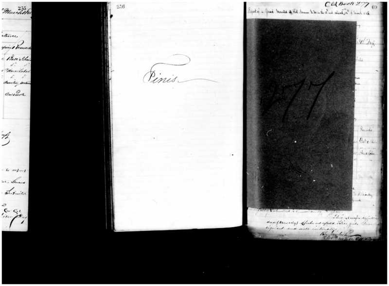 Primary page