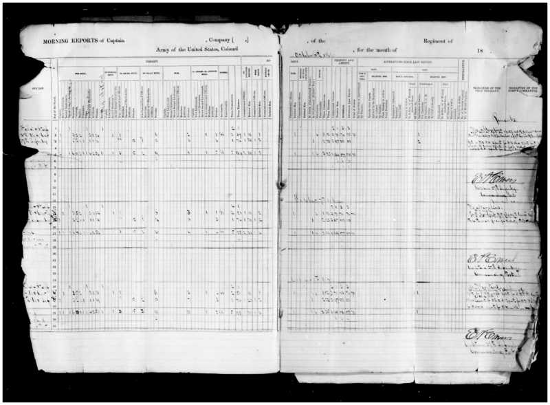 Primary page