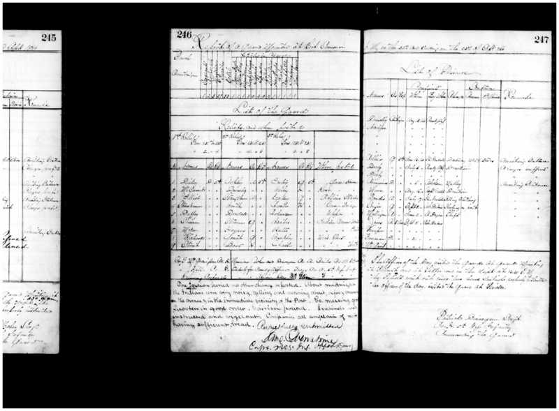 Primary page