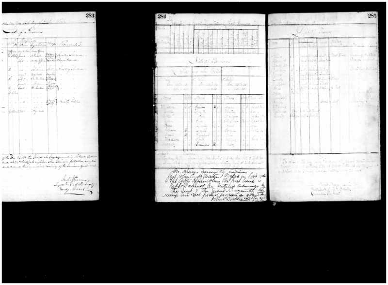 Primary page