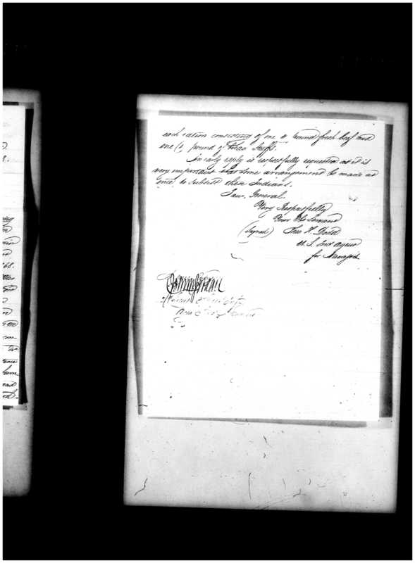 Primary page