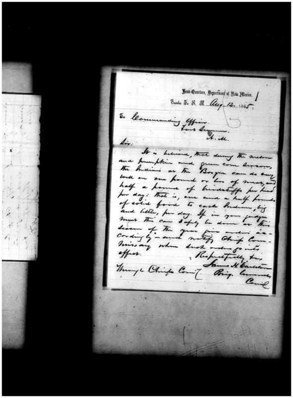 Primary page