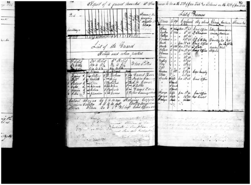 Primary page