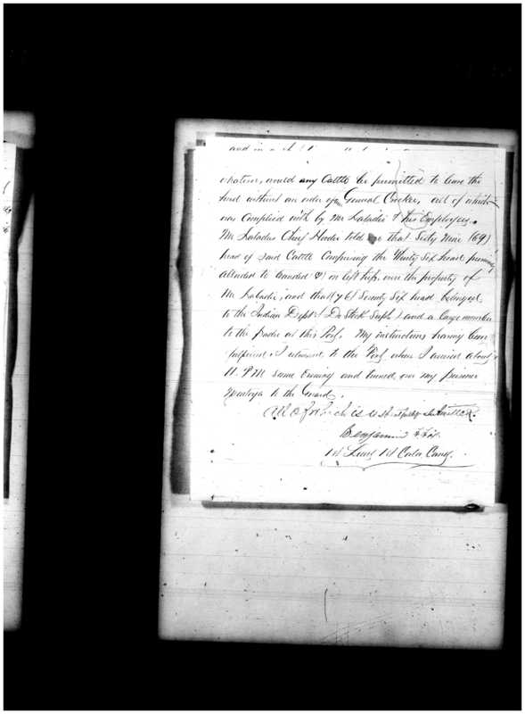 Primary page