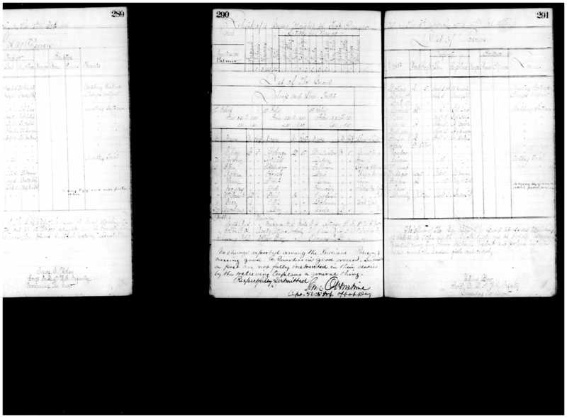 Primary page