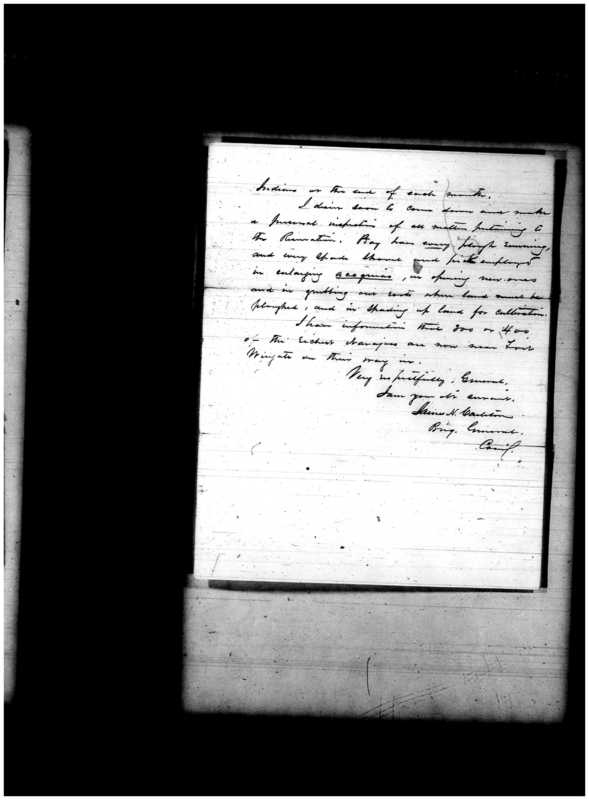 Primary page