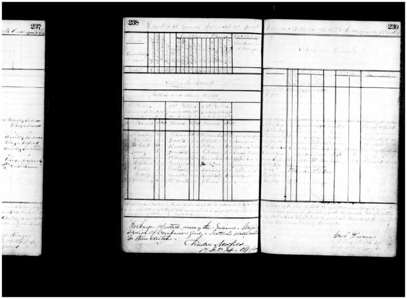 Primary page