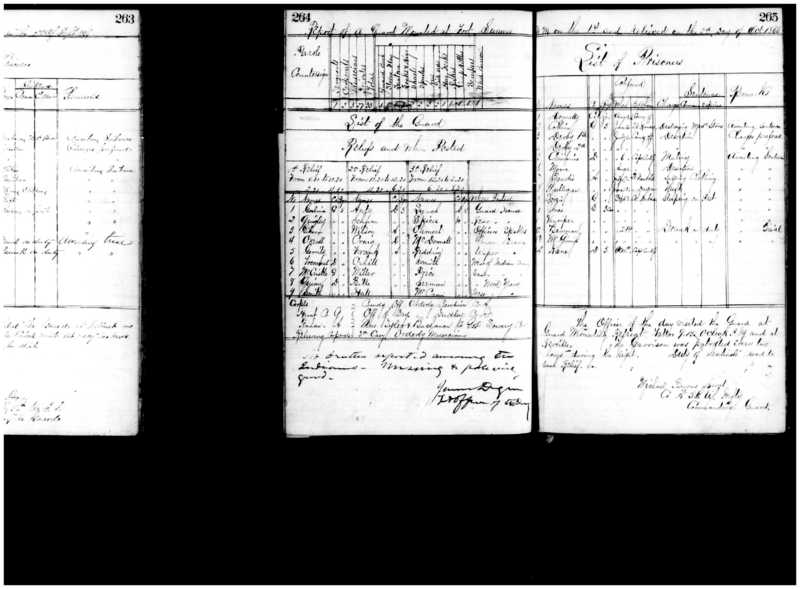 Primary page