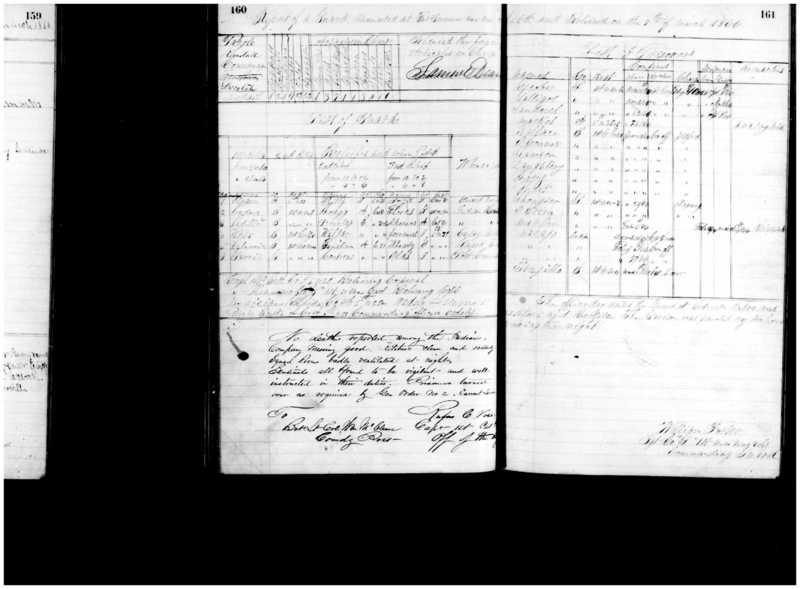 Primary page