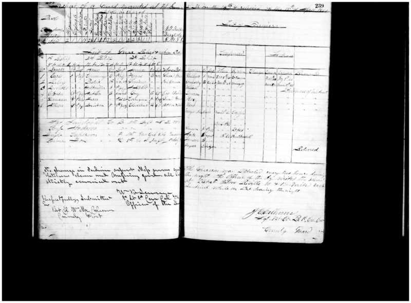Primary page