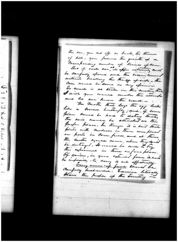 Primary page