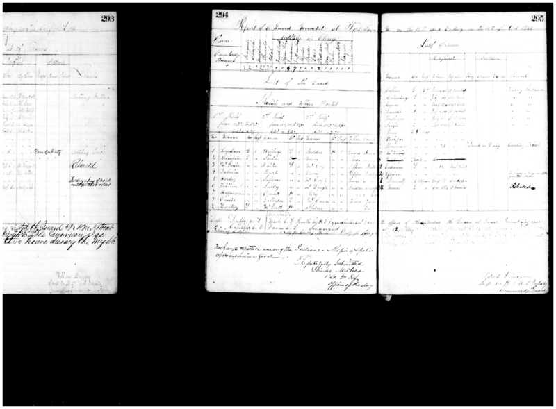 Primary page