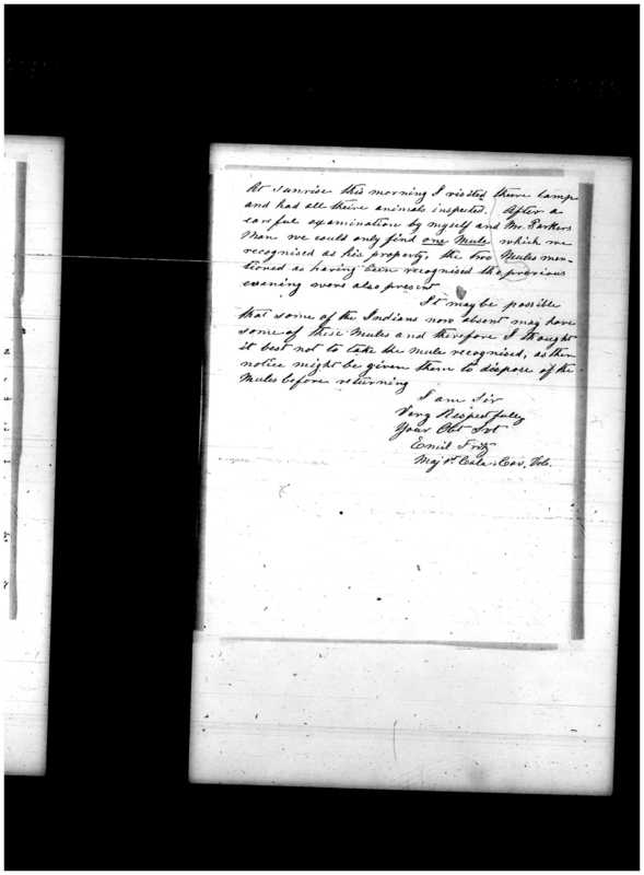 Primary page