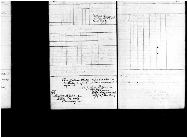 Primary page