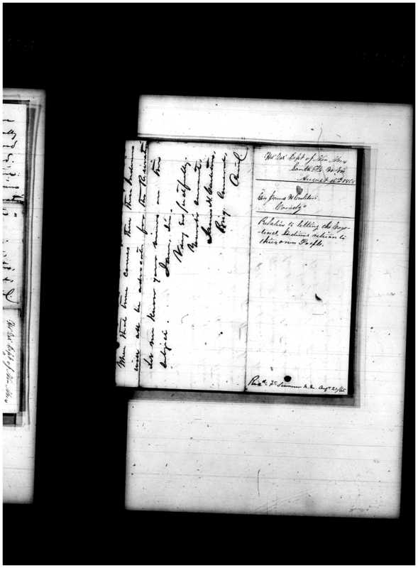 Primary page
