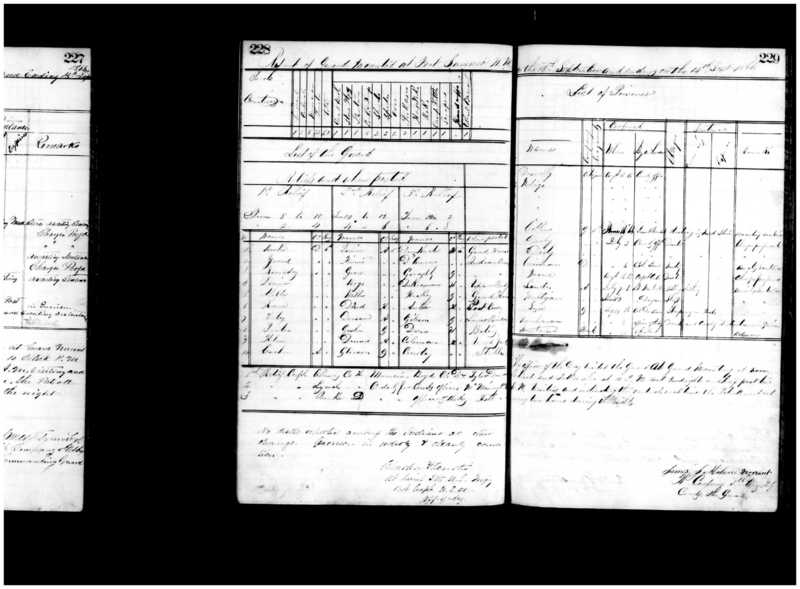 Primary page