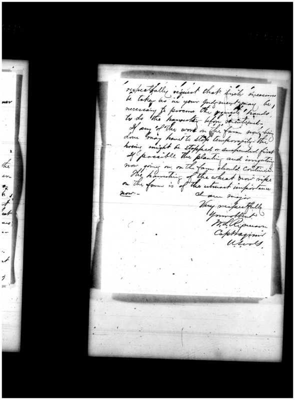 Primary page