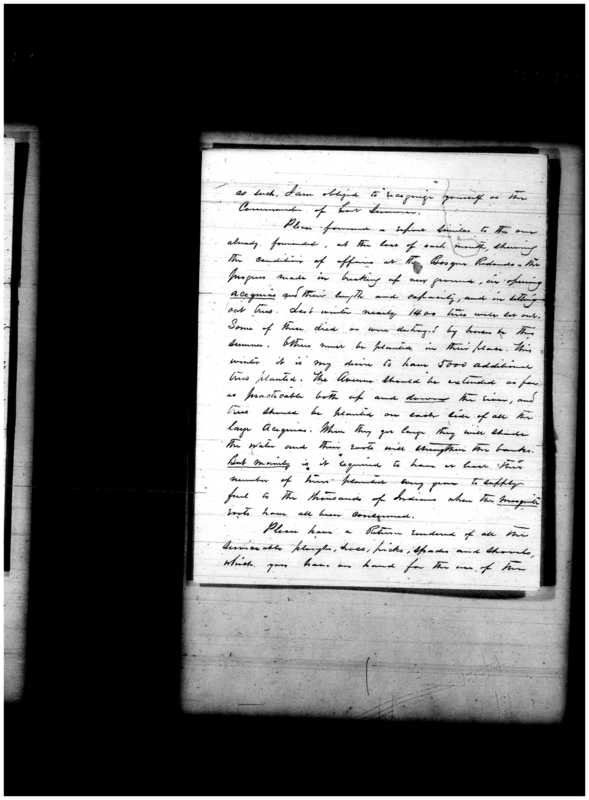 Primary page